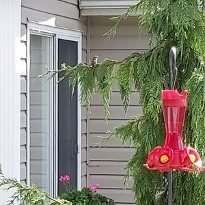 Meet your Posher, Marcolin@kent.net